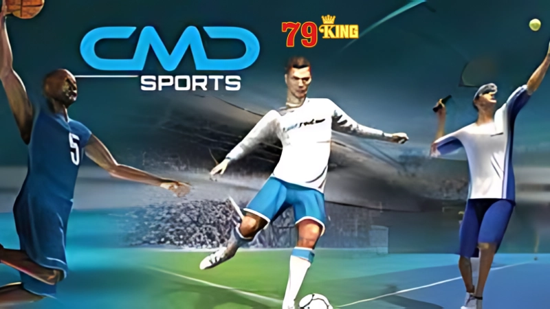 CMD Sport với đa dạng trò thể thao hấp dẫn